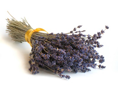 zielonyklub.pl: Lavender & Amber, esencja zapachowa - Zapachy do mydła, kosmetyków i świec