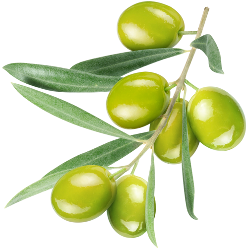 zielonyklub.pl: Skwalan z oliwy oliwek - Oleje roślinne