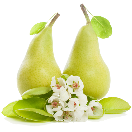 zielonyklub.pl: Freesia & Pear, esencja zapachowa - Zapachy do mydła, kosmetyków i świec
