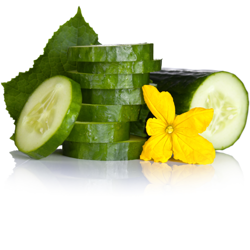 zielonyklub.pl: Cucumber, esencja zapachowa - Zapachy do mydła, kosmetyków i świec