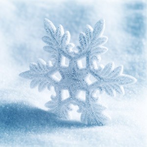 zielonyklub.pl: Snow, esencja zapachowa - Katalog