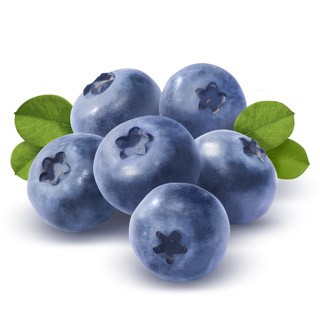 zielonyklub.pl: Blueberry, esencja zapachowa - Zapachy do mydła, kosmetyków i świec