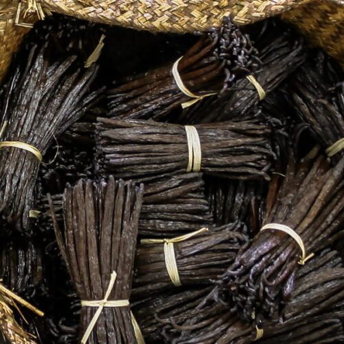 Wanilia (vanilla planifolia) / olejek absolut waniliowy, ekstrakt