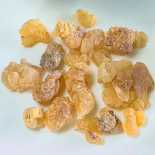Kadzidłowiec indyjski (boswellia serrata) / olejek eteryczny kadzidłowcowy indyjski