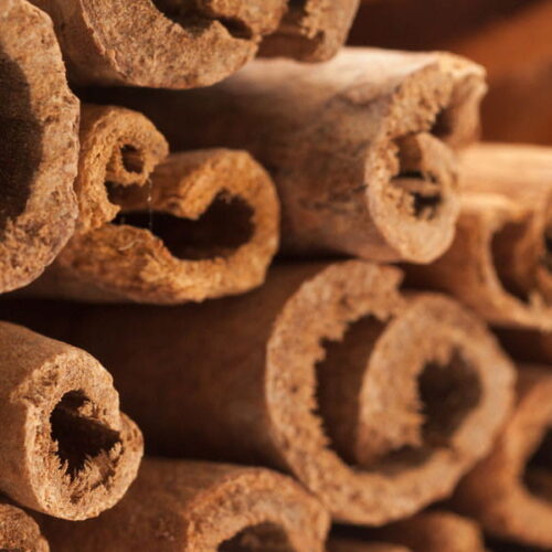 Cynamonowiec cejloński (cinnamomum verum) / olejek eteryczny cynamonowy z kory