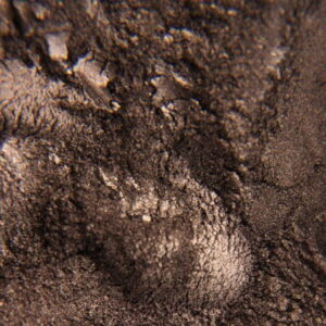 Gorzka czekolada - pigment perłowy