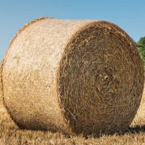 Fresh Hay: kompozycja zapachowa / olejek zapachowy 100%