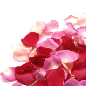 Rose & Neroli: kompozycja zapachowa / olejek zapachowy 100%