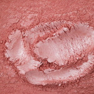 Dymny koral - pigment perłowy