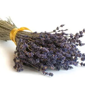 Lavender & Amber: kompozycja zapachowa / olejek zapachowy 100%