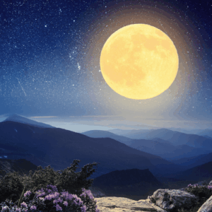 Moonlight Mistletoe: kompozycja zapachowa / olejek zapachowy 100%