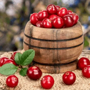 Jewelled Crandberry: kompozycja zapachowa / olejek zapachowy 100%
