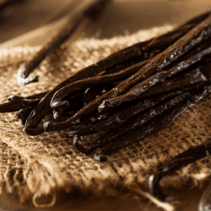Vanilla Bean: kompozycja zapachowa / olejek zapachowy 100%