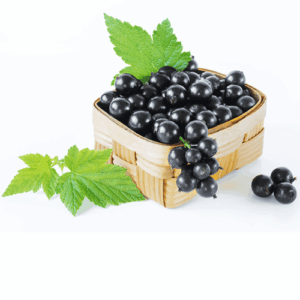 Fig & Cassis: kompozycja zapachowa / olejek zapachowy 100%