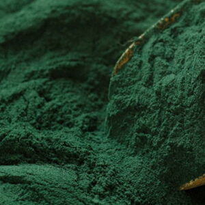 Spirulina w proszku