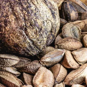 Olej z orzechów brazylijskich (bertholletia excelsa) nierafinowany eko