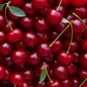 Olej wiśniowy (prunus cerasus) nierafinowany