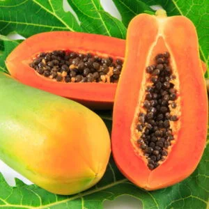 Olej z nasion papai (carica papaya)