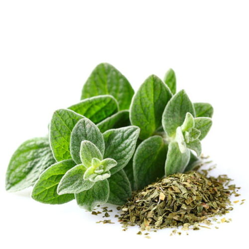 Oregano: kompozycja zapachowa / olejek zapachowy 100%