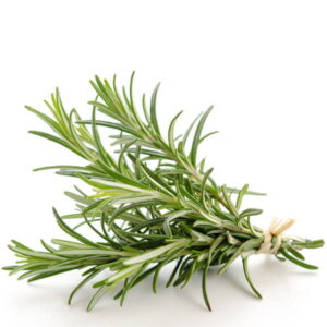 Rosemary: kompozycja zapachowa / olejek zapachowy 100%