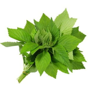 Lemon Verbena: kompozycja zapachowa / olejek zapachowy 100%