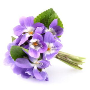 Violet: kompozycja zapachowa / olejek zapachowy 100%