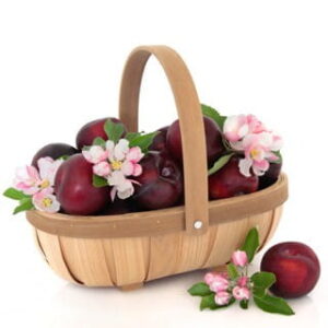 Japanese Plum: kompozycja zapachowa / olejek zapachowy 100%