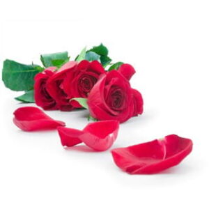 Tudor Rose: kompozycja zapachowa / olejek zapachowy 100%
