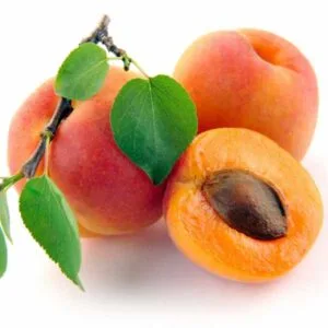 Olej morelowy (prunus armeniaca) nierafinowany