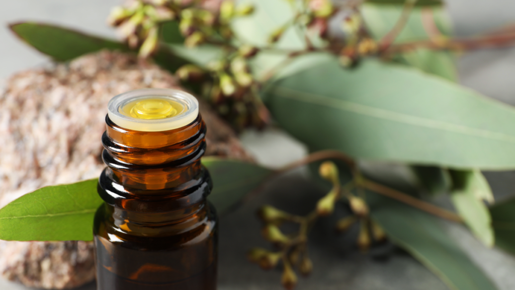 Naturalny olejek eukaliptusowy w buteleczce na tle liści eukaliptusa