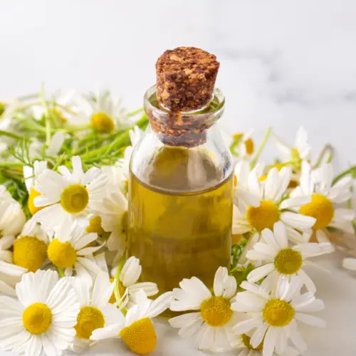 bisabol naturalny alfa-bisabolol z rumianku pospolitego