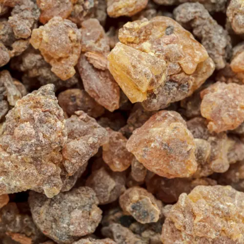 żywica beznzoesowa, z której otrzymuje się olejek benzoesowy