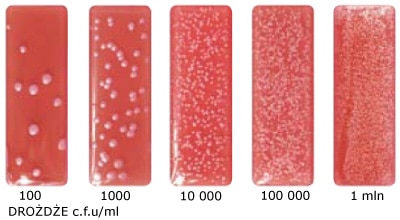 test drożdży